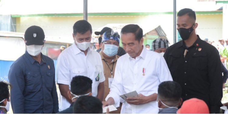 Presiden Joko Widodo (Jokowi) serahkan bantuan langsung tunai (BLT) ke warga di Maluku Utara. Foto: Istimewa