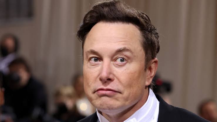 Elon Musk/Sky News