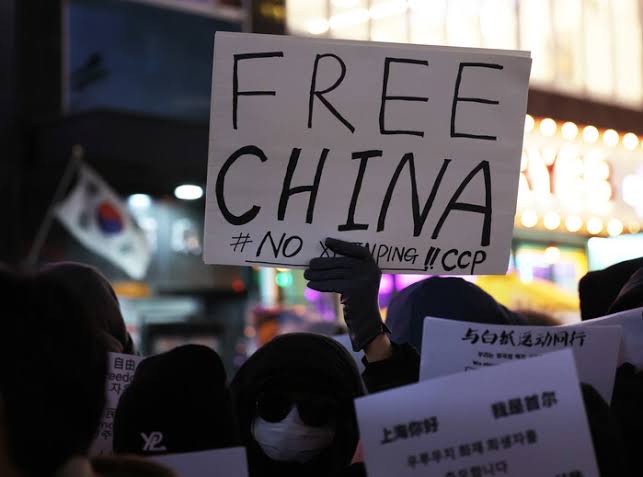 Protes mahasiswa China di Korsel (SinPo.id/K-Oddysey)