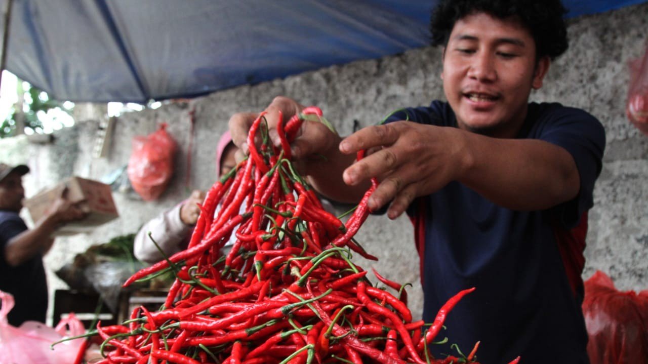 Pedagang cabai di Pasar Kebayoran Lama/ SinPo.id/Ashar SR
