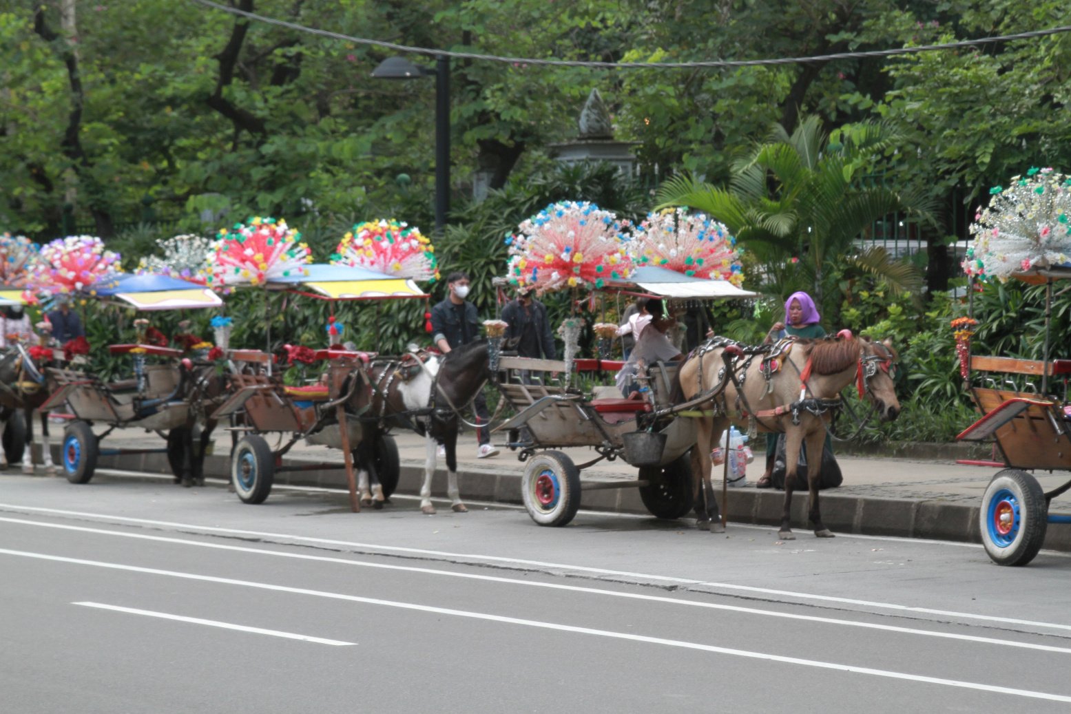 Delman di Monas/ SinPo.id/ Ashar SR