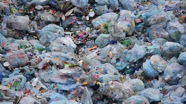 Mahasiswa Ui Kembangkan Limbah Pati Aren Jadi Bahan Pengganti Plastik 9243