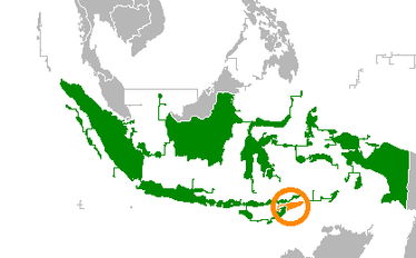 Ilustrasi Hubungan Indonesia dan Timor Leste