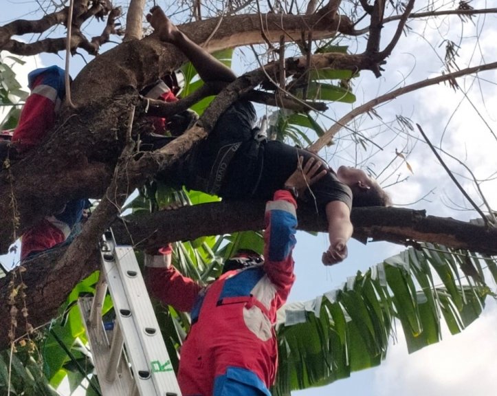 Petugas damkar evakuasi pengguna narkoba yang tidur di atas pohon