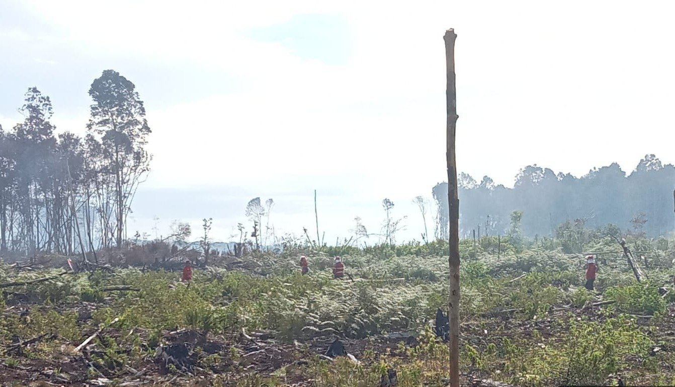 Tim gabungan sedang melakukan pemadaman kebakaran lahan di Kabupaten Pesisir Selatan, Provinsi Sumbar pada Selasa, 30 Mei 2023. (SinPo.id/BPBD Kabupaten Pesisir Selatan)