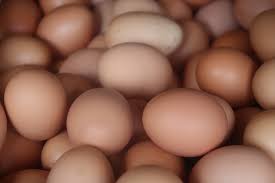 Telur Ayam (Pixabay)
