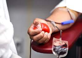 Ilustrasi donor darah (pixabay)