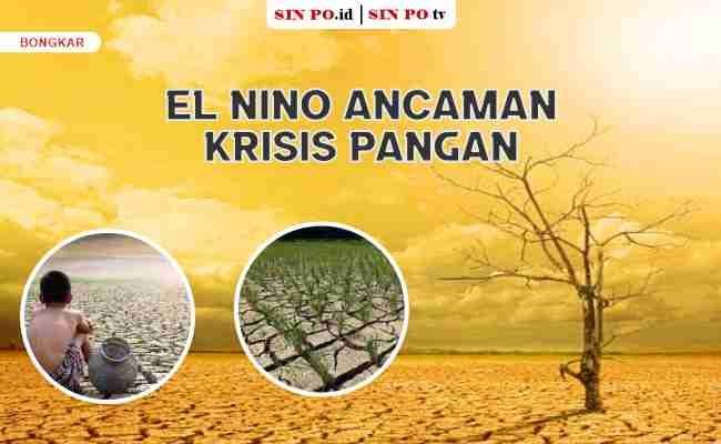 Ancaman Krisis Pangan Akibat El Nino