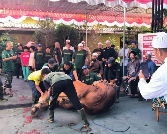 Habib Syech pimpin langsung pemotongan sapi kurban dari Ketua Umum Partai Gerindra Prabowo Subianto. (SinPo.id/Dok. Istimewa)