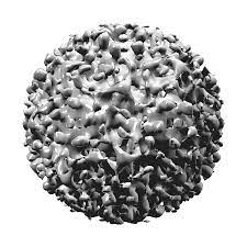 Virus Hepatitis B (Pixabay)