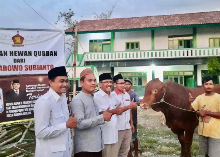 Ilustrasi pemberian sapi kurban (Gerindra)