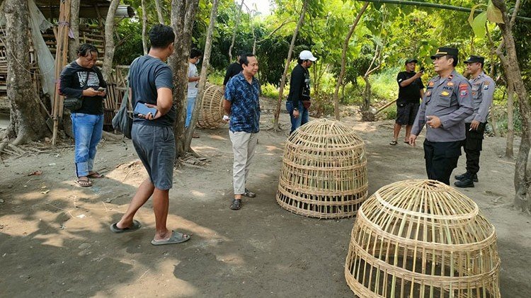 Penggerebekan arena judi sabung ayam di Jombang (SinPo.id/ NTMC Polri)