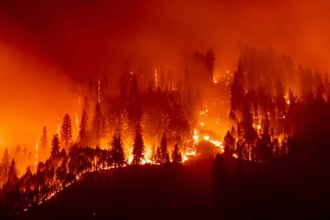 Bencana kebakaran hutan di AS (Sinpo.id/Washinton Post)