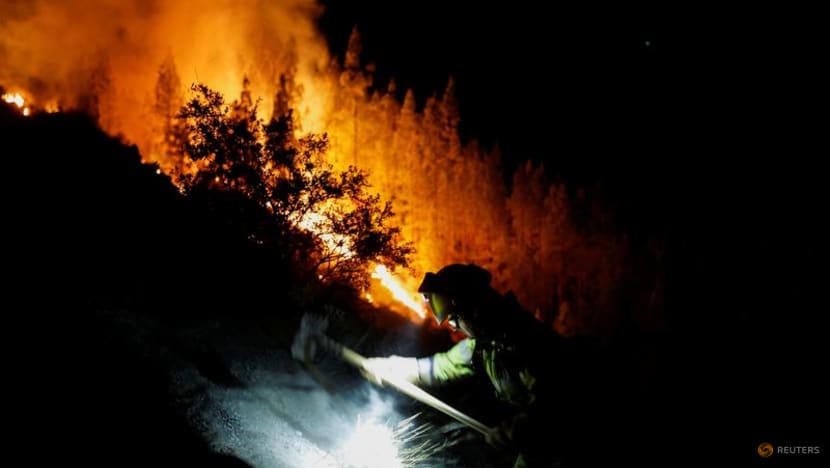 Kebakaran di Tenerife, Spanyol (Sinpo.id/Reuters)