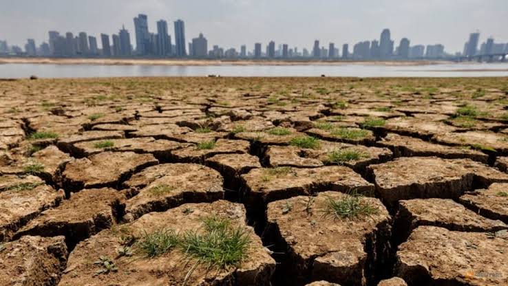 Ilustrasi El Nino (SinPo.id/ Reuters)