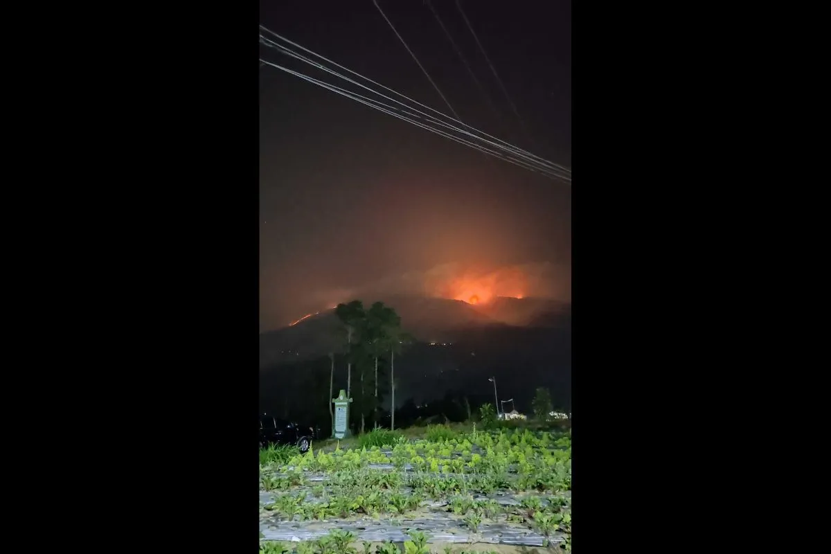 Lahan terbakar di Gunung Merbabu (Sinpo.id/BNPB)