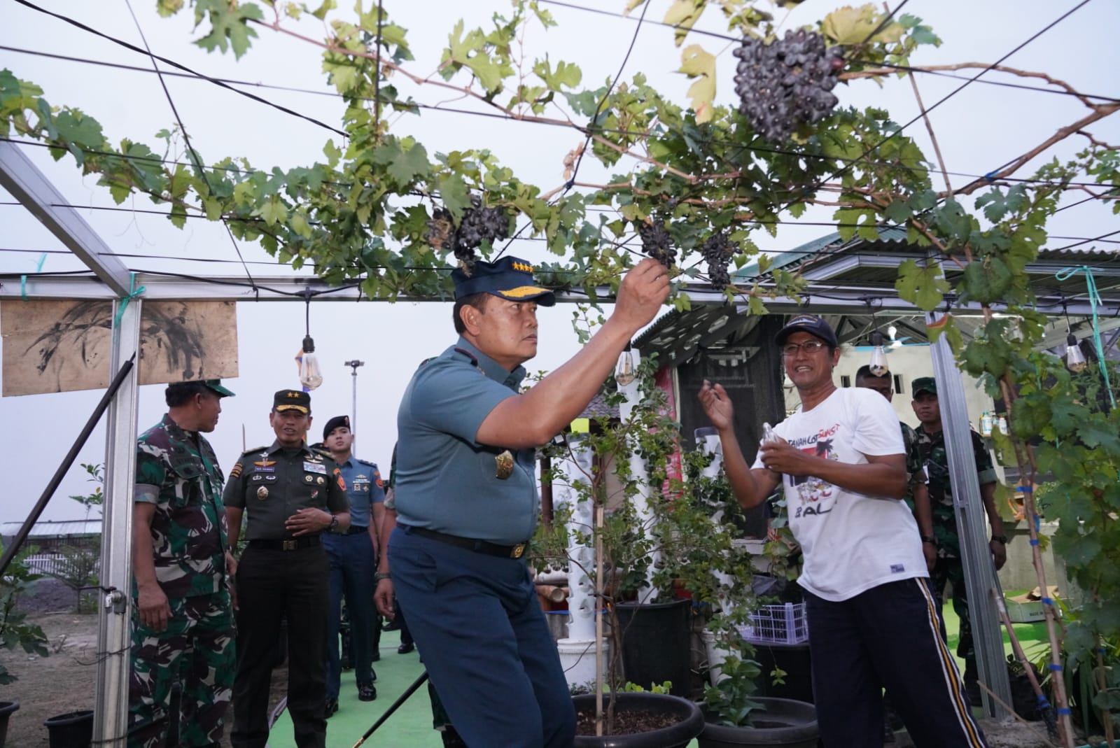Panglima TNI Laksamana Yudo Margono mengecek lahan untuk Gerakan Nasional Ketahanan Pangan, di Bekasi, Selasa 31 Oktober 2023 kemarin. (SinPo.id/dok TNI)
