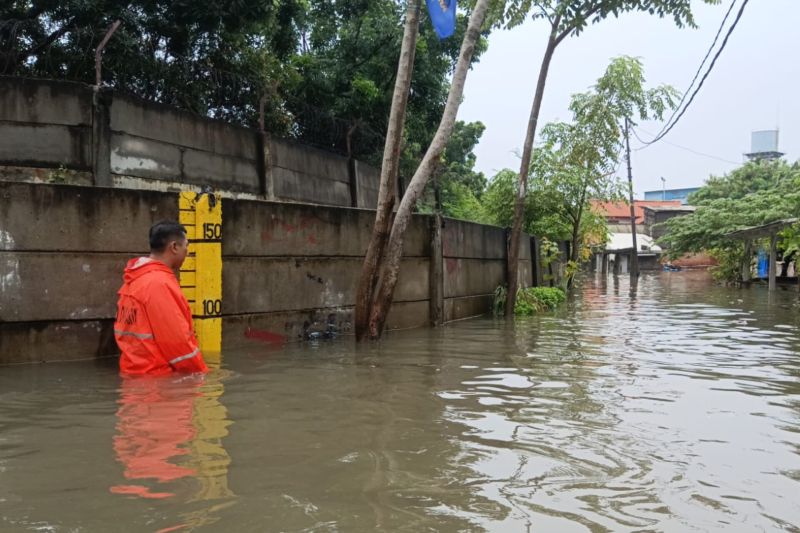 Petugas Badan Penanggulangan Bencana Daerah (BPBD) DKI memantau wilayah banjir, Jakarta pada Kamis, 29 Februari 2024. (SinPo.id/Dok. BPBD DKI)