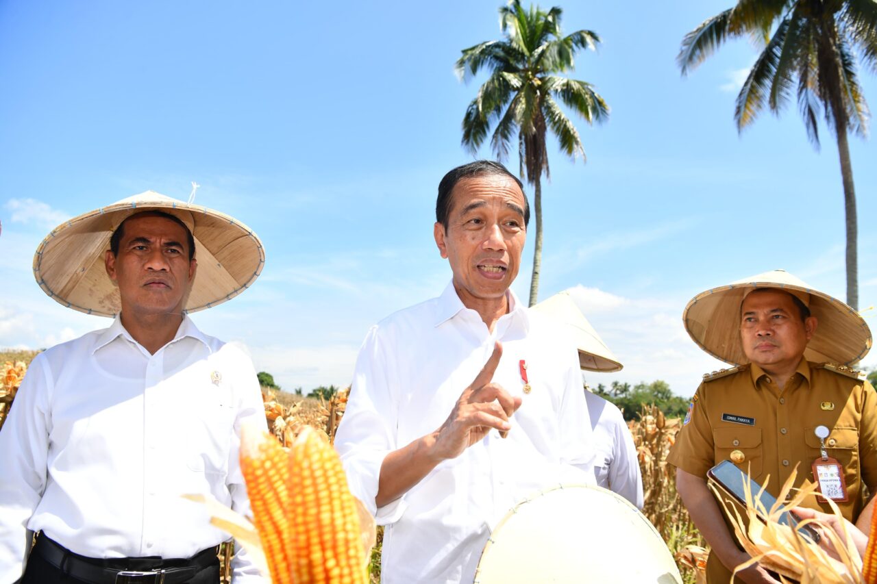 Presiden Jokowi usai meninjau panen raya jagung di Kabupaten Boalemo, Provinsi Gorontalo pada Senin, 22 April 2024. (SinPo.id/BPMI Setpres)