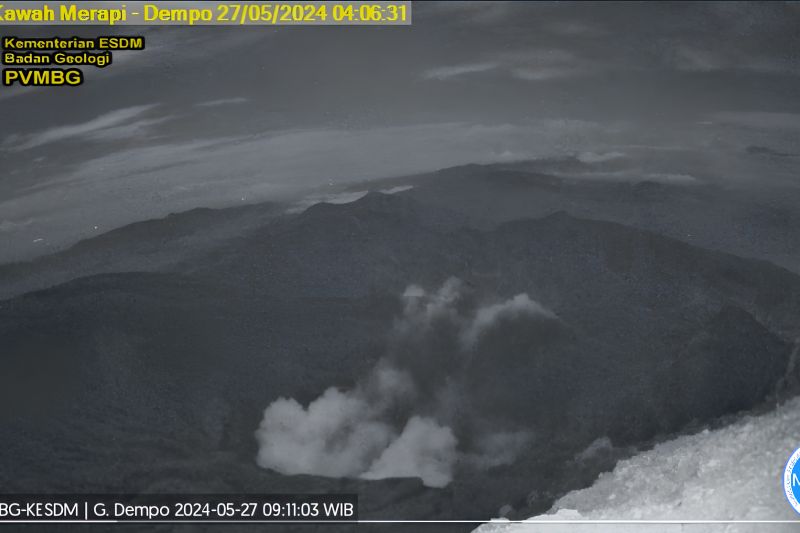 Kolom abu berwarna putih hingga kelabu dengan intensitas sedang hingga tebal ke arah barat terbentuk akibat aktivitas erupsi Gunung Dempo di Sumatera Selatan pada Senin, 27 Mei 2024. (SinPo.id/PVMBG)