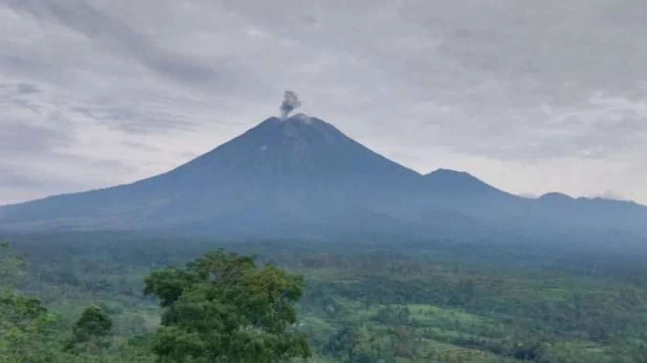 Gunung Semeru yang berada di perbatasan Kabupaten Lumajang dengan Malang, Jawa Timur, mengalami erupsi. (SinPo.id/Antara)