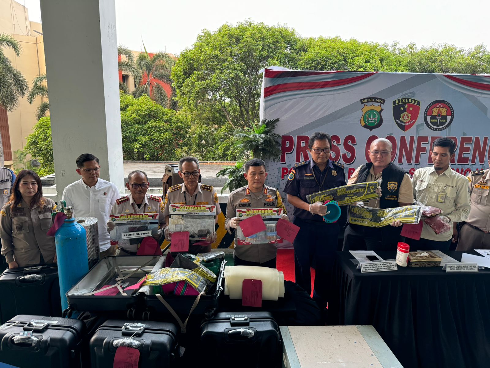 Konferensi pers kasus penyelundupan benih bening lobster (SinPo.id/ Humas Polda Metro Jaya)