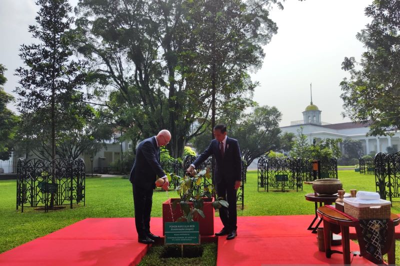 Presiden RI Joko Widodo dan Gubernur Jenderal Australia David Hurley melakukan penanaman pohon bersama di Istana Kepresidenan Bogor, Jawa Barat. (SinPo.id/Antara)