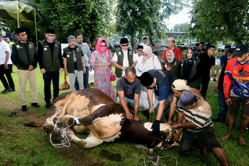 Pemprov Sumut membagikan daging kurban kepada 2.450  masyarakat Kota Medan dan sekitar pada Hari Raya Idul Adha 1445 Hijriah. (SinPo.id/Dok. Pemprov Sumut)