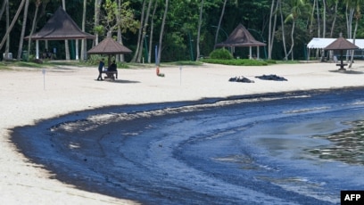 Tumpahan minyak mengendap di pantai Tanjong di Pulau Sentosa (SinPo.id/AFP)