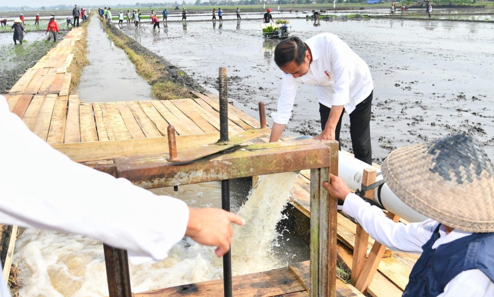 Presiden Jokowi meninjau program pemberian bantuan pompa untuk pengairan sawah dan pertanian atau pompanisasi di Desa Bandan Hurip, Kabupaten Lampung Selatan. (SinPo.id/BPMI Setpres)