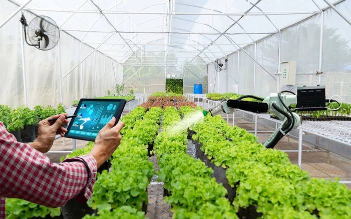 Ilustrasi smart farming (SinPo.id/ vnn media)