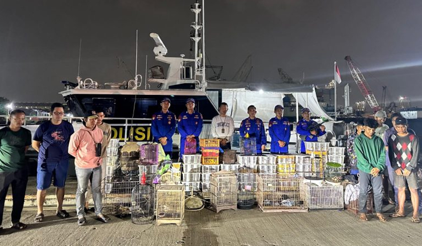 Polri menggagalkan penyelundupan satwa dilindungi di wilayah Perairan Sunda Kelapa, Jakarta (SinPo.id/Polda Metro Jaya)