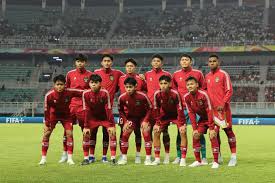 Tim U-17 Indonesia (PSSI)