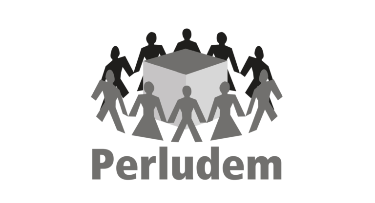 Perludem (SinPo.id/ Dok. Rumahpemilu)