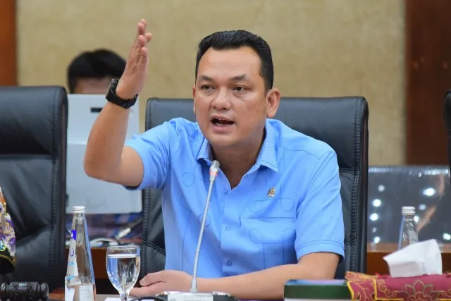 Anggota DPR RI Martin Manurung. (SinPo.id/Dok. DPR RI)