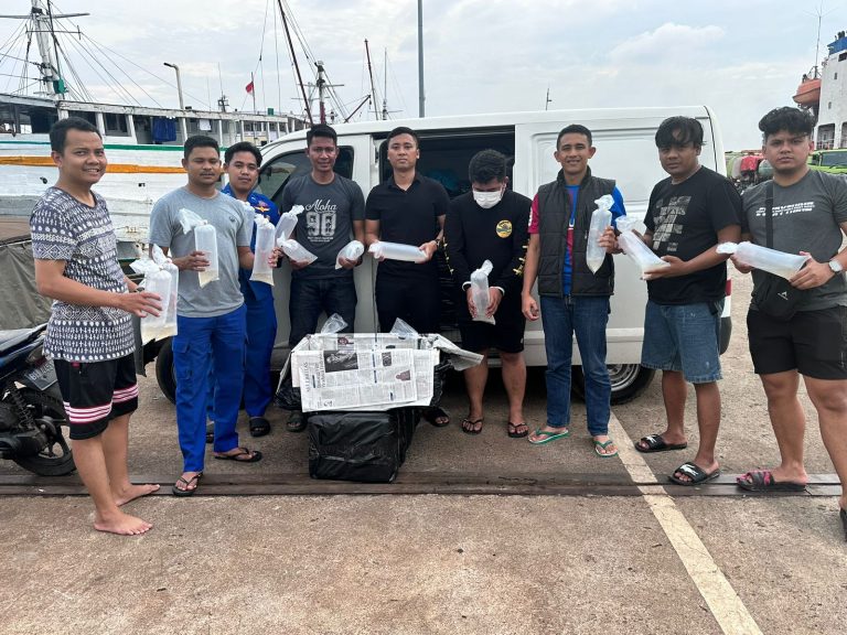 Benih bening lobster yang akan diselundupkan di Lampung (SinPo.id/ Humas Polri)