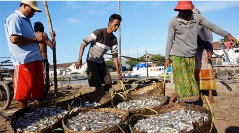 Nelayan sedang bongkar muat ikan hasil tangkapan. (SinPo.id/Antara)