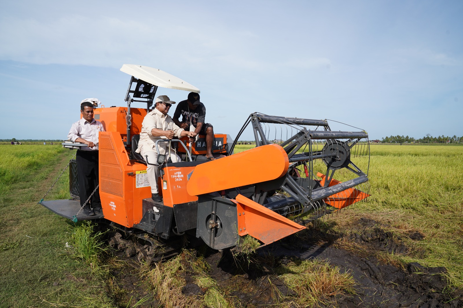 Presiden Prabowo kemudikan mesin combine harvester saat akan menanen Padi di Merauke, Papua. (SinPo.id/Media Gerindra)