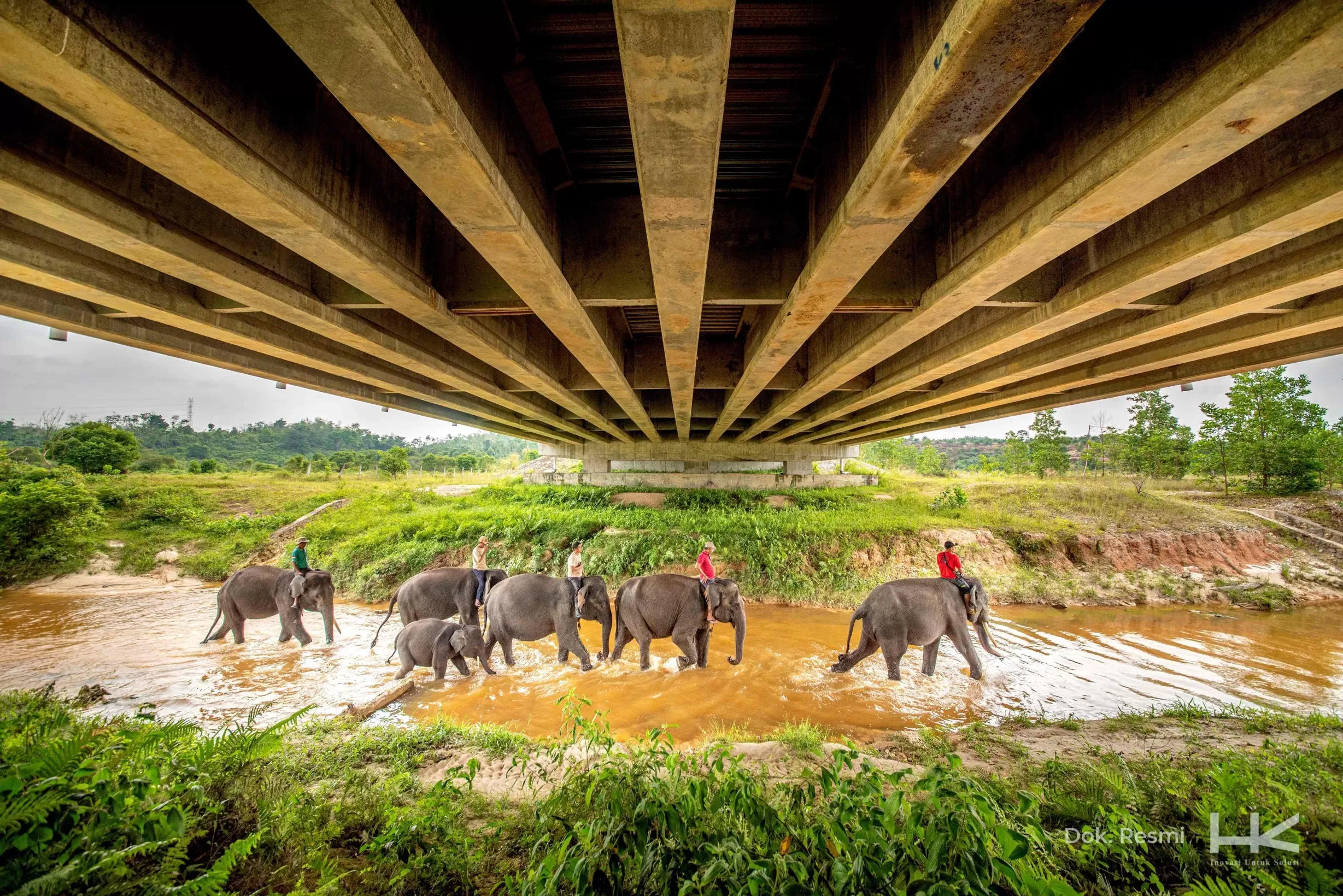 Hutama Karya siapkan 7.000 bibit pohon pakan alami gajah di sekitar Tol Pekanbaru - Dumai. (SinPo.id/dok. Hutama Karya)