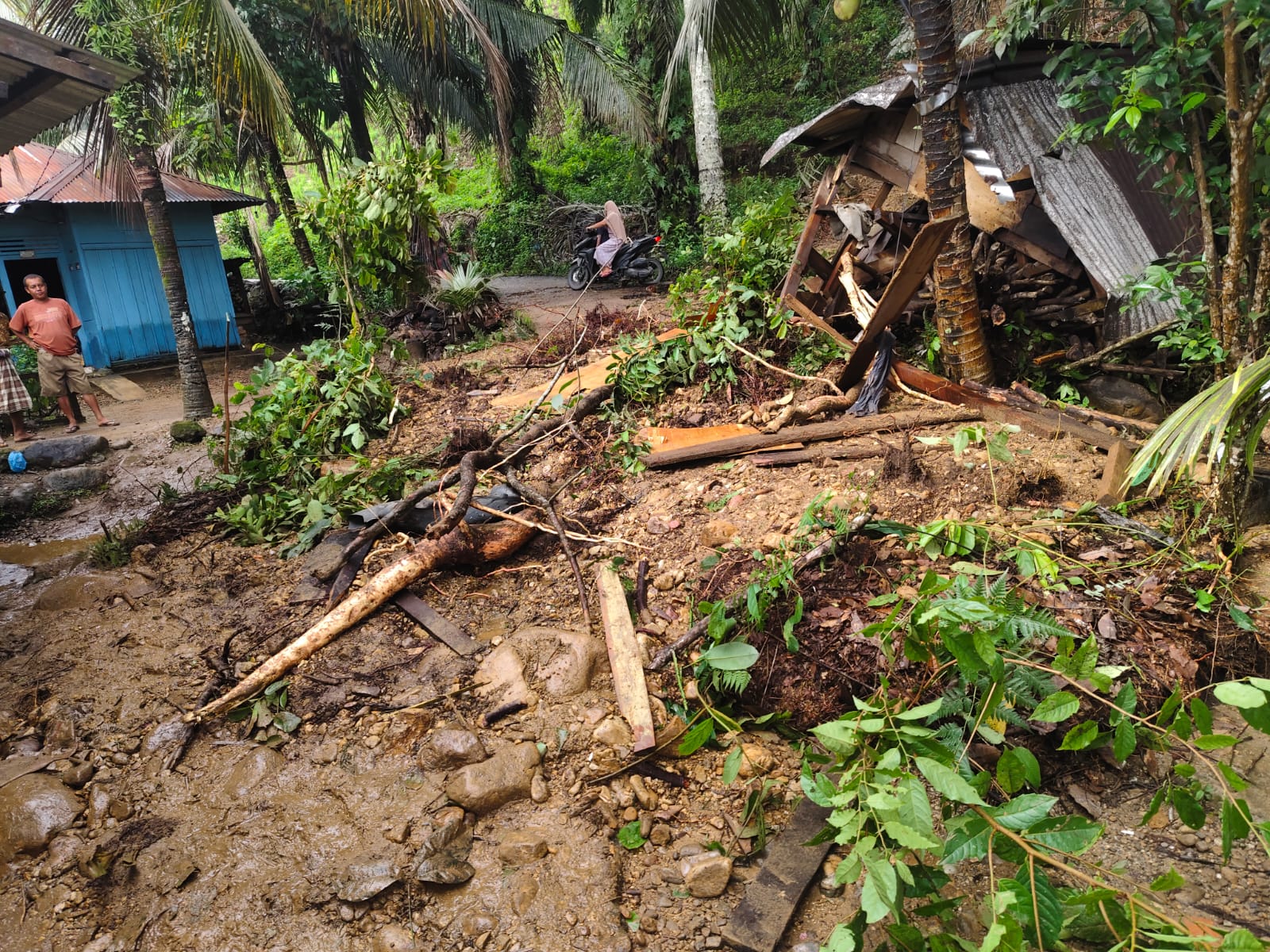 longsor di Kabupaten Padang Lawas, Sumatra Utara (SinPo.id/Kemensos)