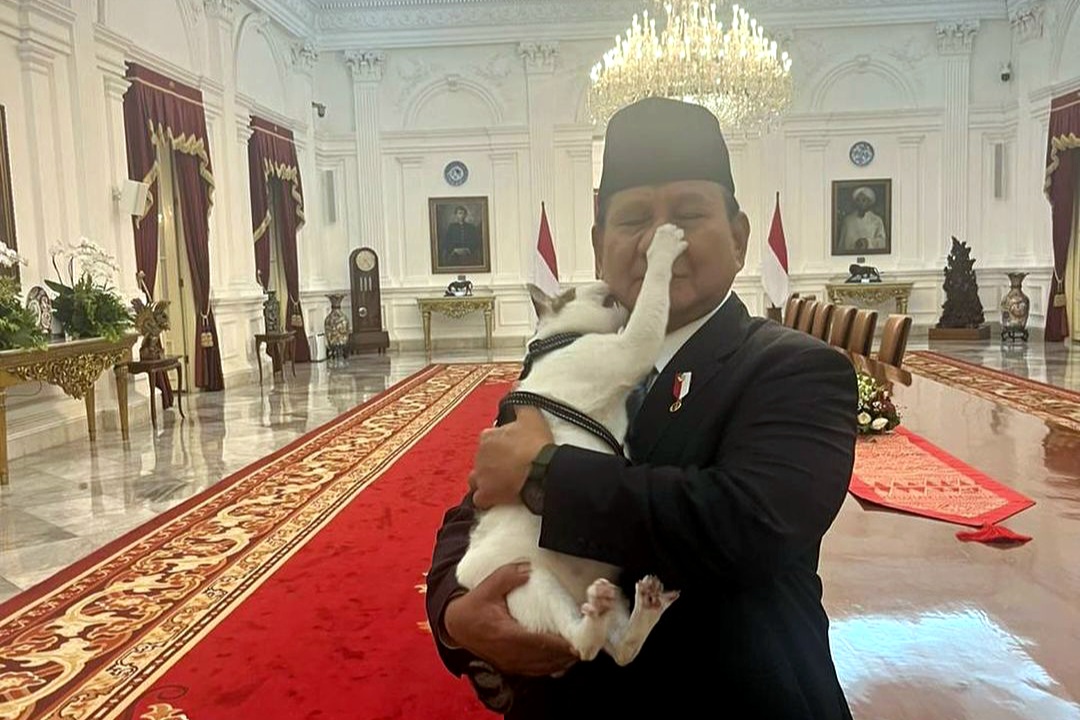 Presiden Prabowo bagikan momen lucu bersama kucing Bobby di Istana (SinPo.id/Istagram @Prabowo)