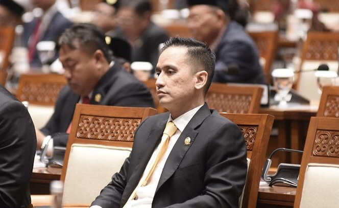 Anggota Komisi VI DPR RI Firnando H Ganinduto. Istimewa.