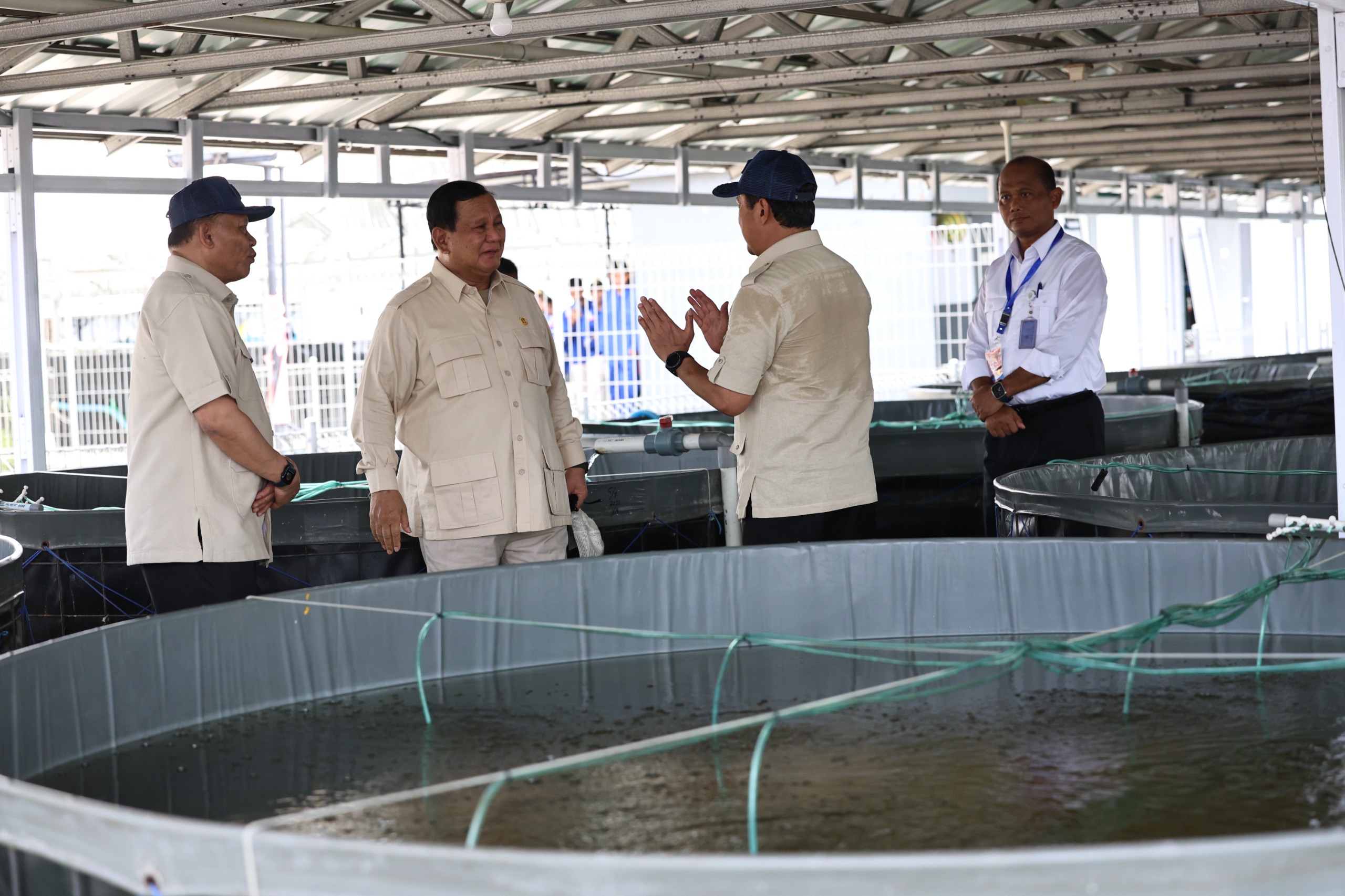 Presiden Prabowo Subianto meninjau Tambak Budidaya Ikan Nila di BLUPPB. (SinPo.id/Tim Media)