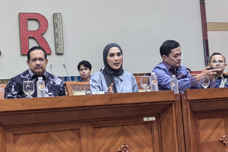 Wakil Ketua Komisi III DPR RI Sari Yuliati. (SinPo.id/Antara)