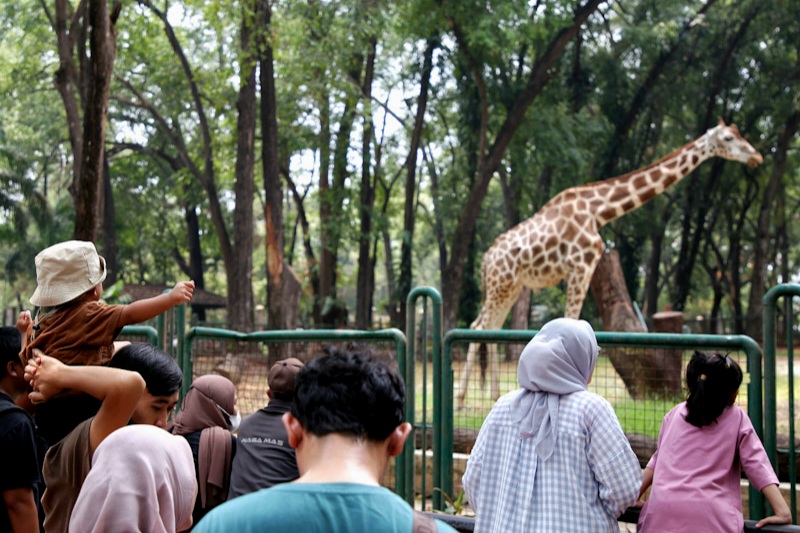 Taman marga satwa Ragunan (SinPo.id/Beritajakarta)