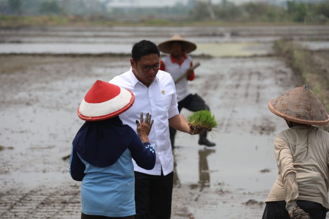 Wakil Menteri Pertanian (Wamentan), Sudaryono (SinPo.id/Dok.Kementan)