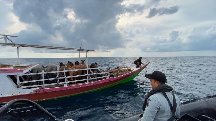 Bakamla RI Selamatkan Kapal Terombang Ambing di Laut Flores (SinPo.id/Humas Bakamla RI)