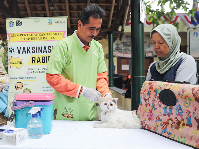 Vaksinasi Hewan Penular Rabies (SinPo.id/Beritajakarta)