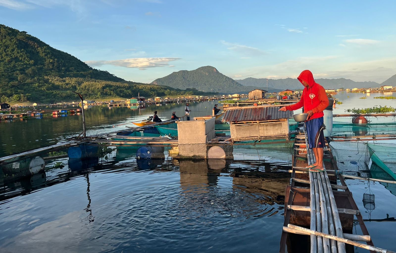 Petani ikan di Jatiluhur sedang memberi pakan. Istimewa