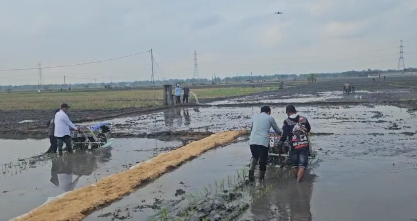 Wapres Gibran Rakabuming Raka mengoperasikan alat penanam padi. (SinPo.id/tangkap layar)